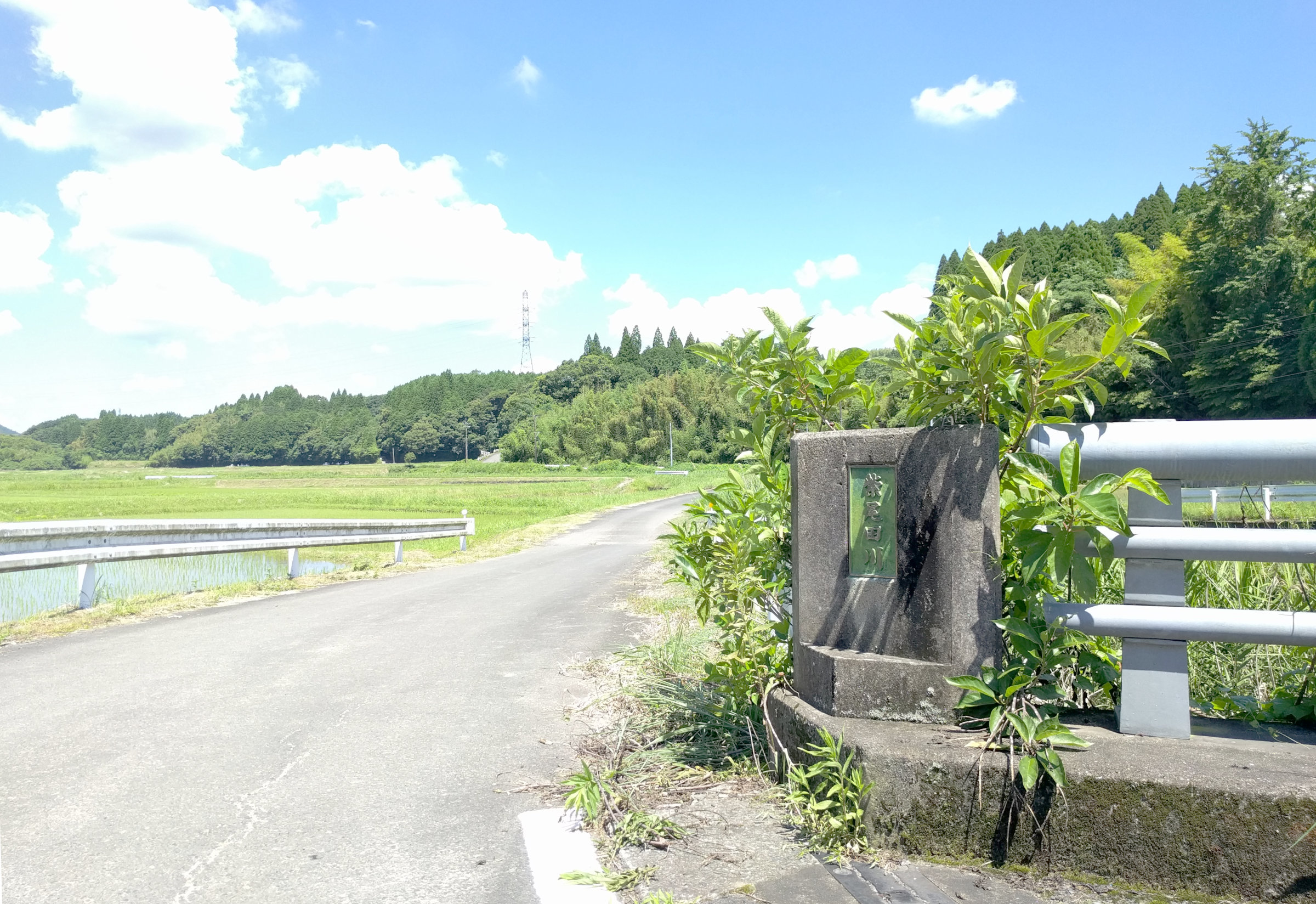 紫尾田川