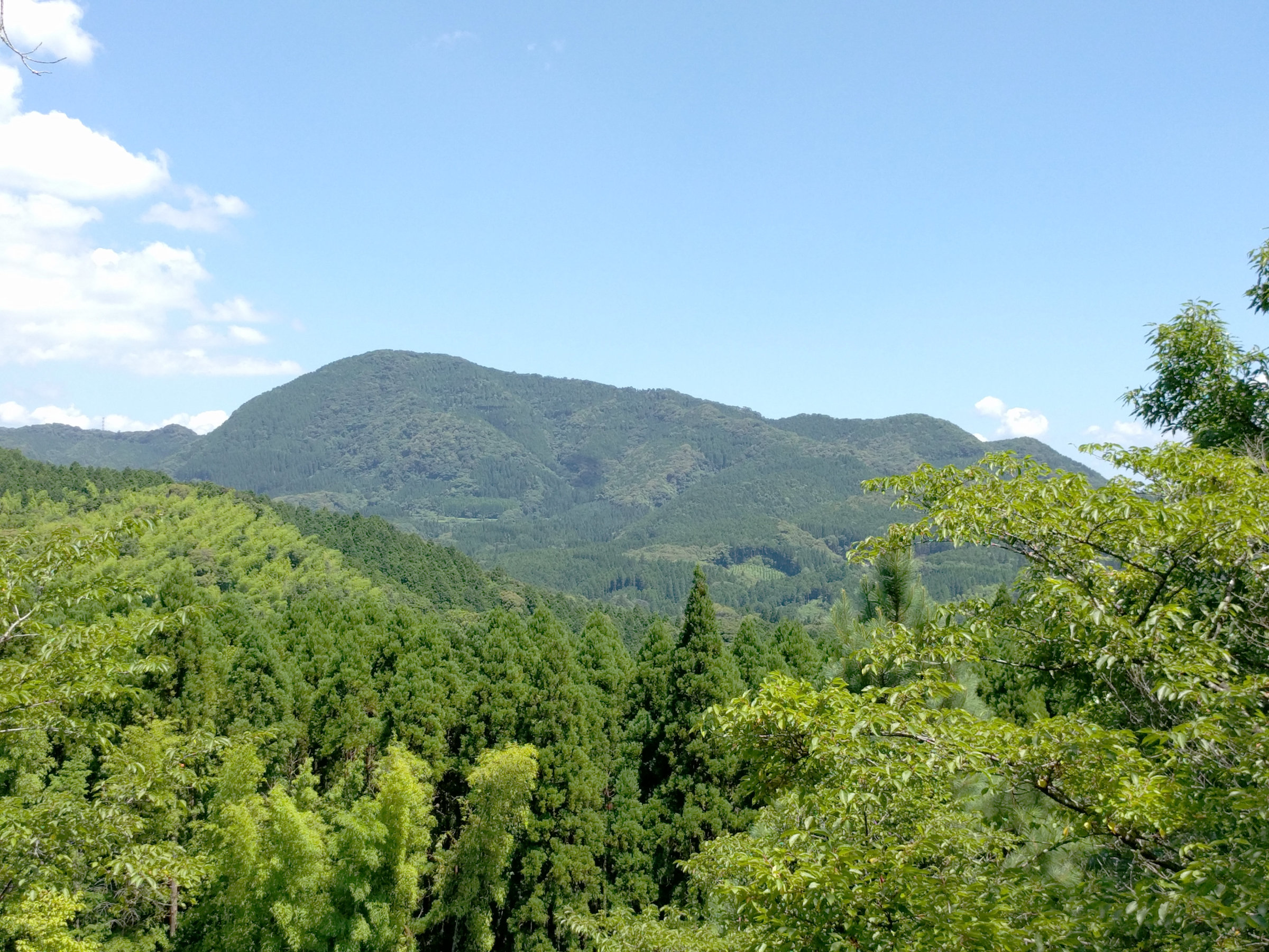 丸岡公園から安良岳